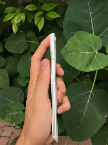 Iphone 8 plus 256gb PTA approved 5