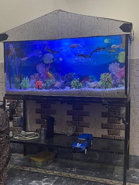 fish tank with fishes and accessories 1