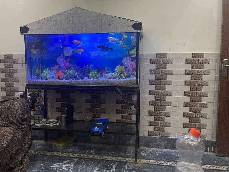 fish tank with fishes and accessories 2