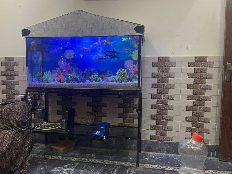 fish tank with fishes and accessories 3
