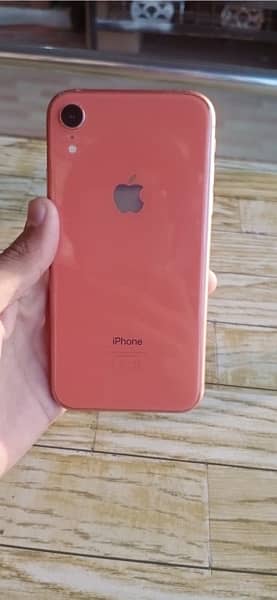 iphone xr non pta…btry health 80……true tone okay…. . condition 10by10 2