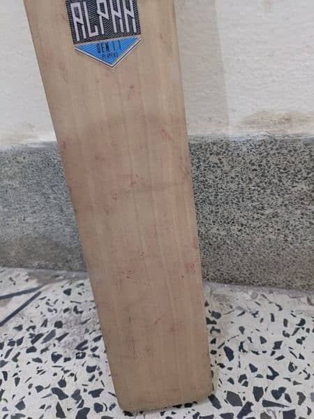 New Gray Nicolls Hard Ball Cricket Bat (1 month Used) 16