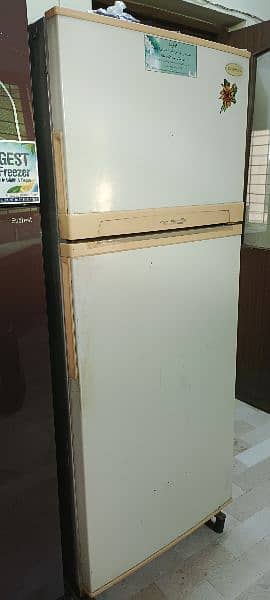 Daewoo Refrigerator plus Freezer 3