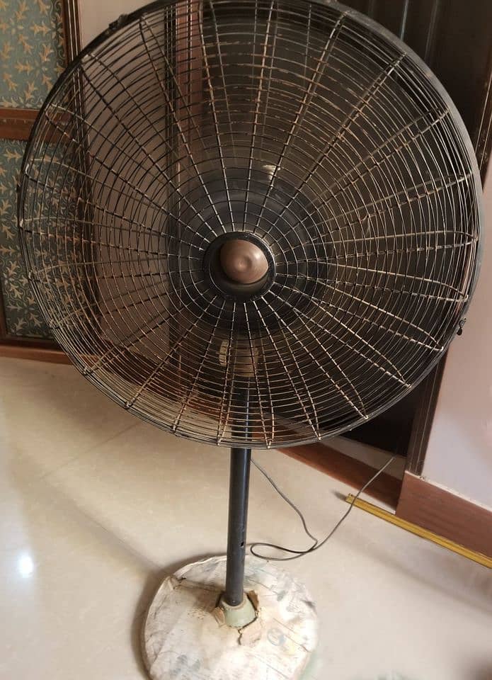 Large Pedestal Fan 0