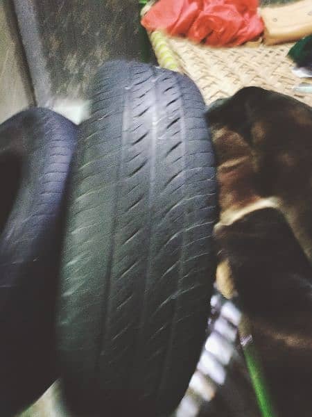 Cultus car tyre (175/70R14) 2