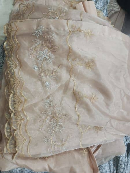 Pure organza double  curtains 1