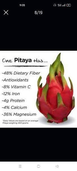 Dragon fruit plants available 6