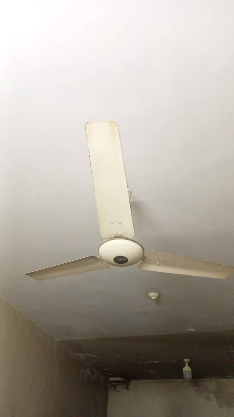 Ceiling Fan 2