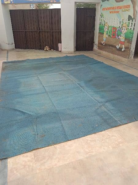 cscented carpet  12×17.5 fot 1
