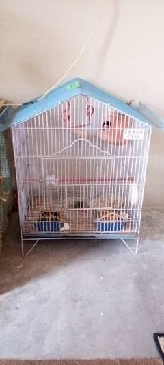 3 small and 2 large cages almost new urgent sale krna h