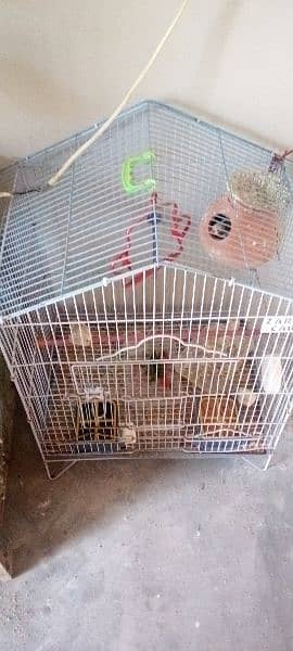 3 small and 2 large cages almost new urgent sale krna h 2