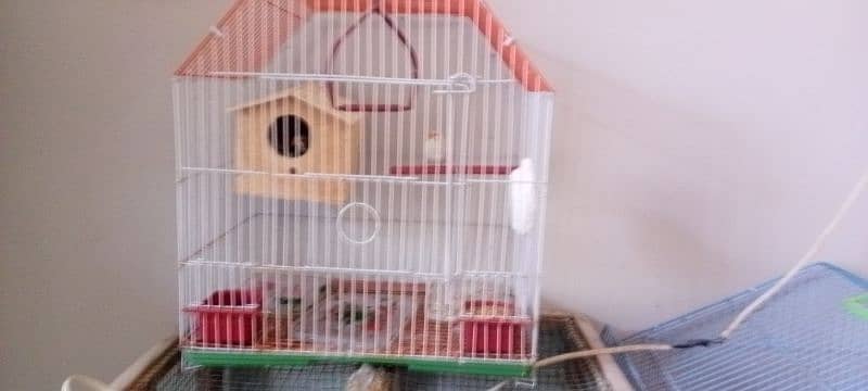 3 small and 2 large cages almost new urgent sale krna h 3