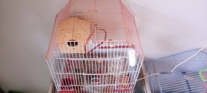 3 small and 2 large cages almost new urgent sale krna h 5