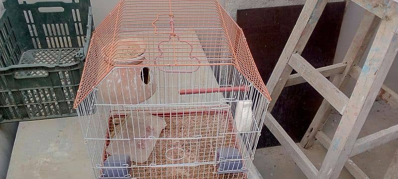 3 small and 2 large cages almost new urgent sale krna h 6
