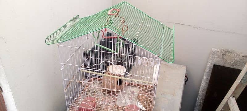 3 small and 2 large cages almost new urgent sale krna h 9