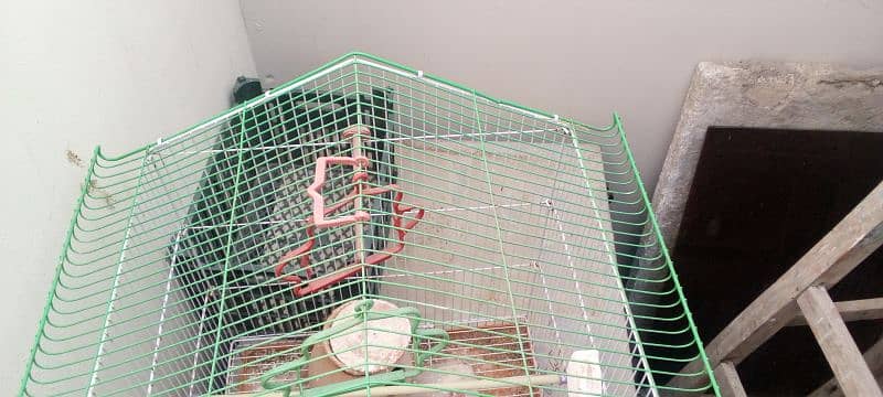 3 small and 2 large cages almost new urgent sale krna h 11