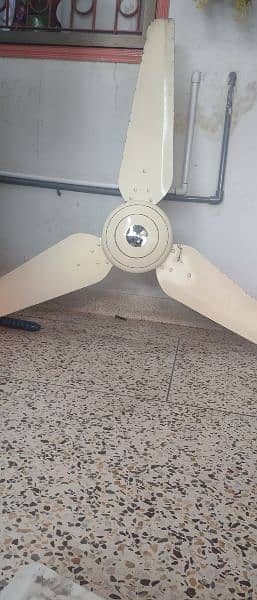 new and use celling fans for sell 3