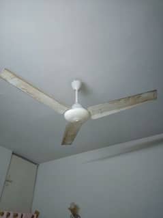3 GFC Fan 2 SK Fane Ceiling Fan