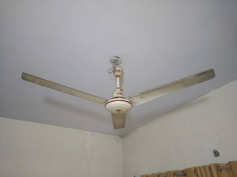 3 GFC Fan 2 SK Fane Ceiling Fan 1