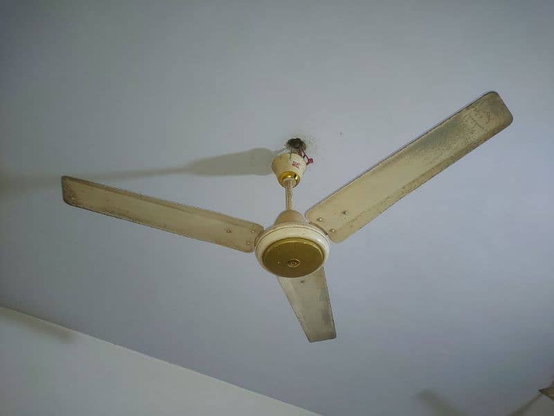 3 GFC Fan 2 SK Fane Ceiling Fan 2