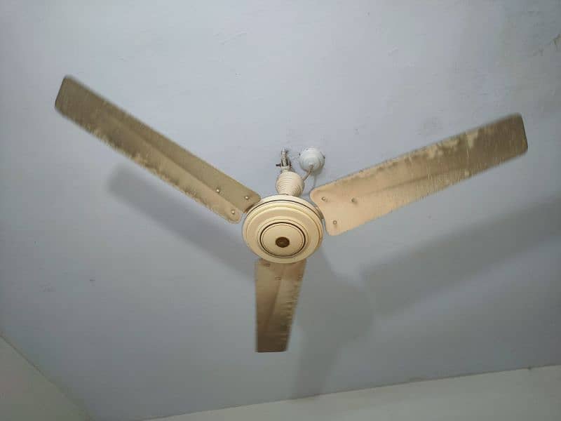 3 GFC Fan 2 SK Fane Ceiling Fan 3