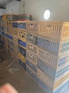 chickens crate