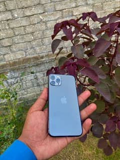 iPhone 11 pro [factory unlock] 0