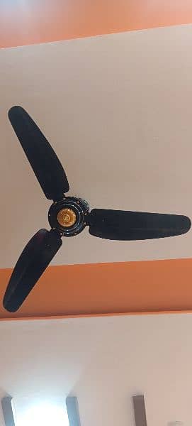 GFC. ceiling fan. only one year used. 3