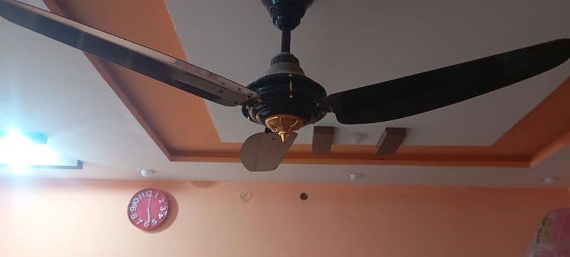 GFC. ceiling fan. only one year used. 4