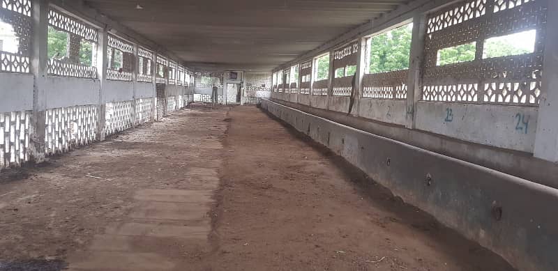 Commercial Space Available For Rent Cattle shades Available for rent 3