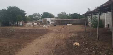 Commercial Space Available For Rent Cattle shades Available for rent 0
