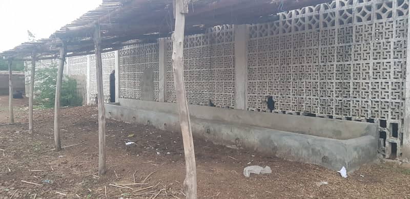 Commercial Space Available For Rent Cattle shades Available for rent 8