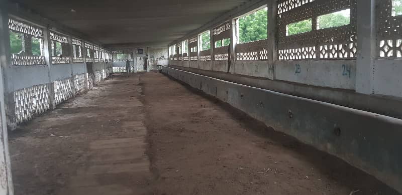 Commercial Space Available For Rent Cattle shades Available for rent 9