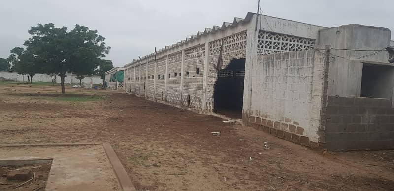 Commercial Space Available For Rent Cattle shades Available for rent 16