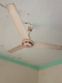 2 fully functional used fans available