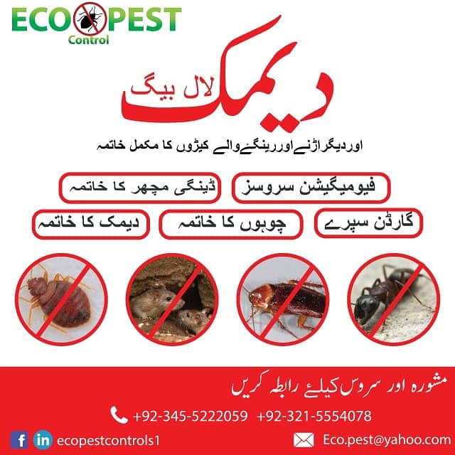 Pest Control/Termite deemak Control/Mosquito Spray/Fumigation 6