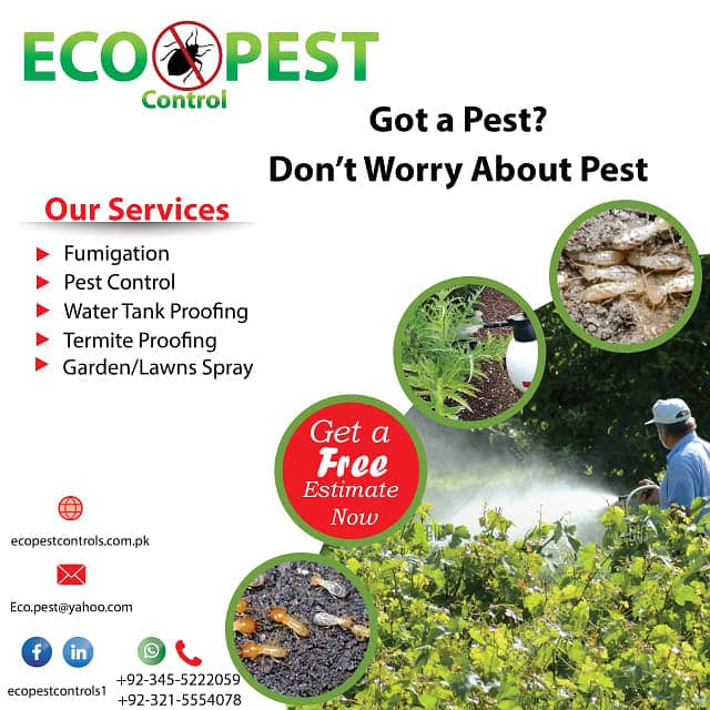 Pest Control/Termite deemak Control/Mosquito Spray/Fumigation 7