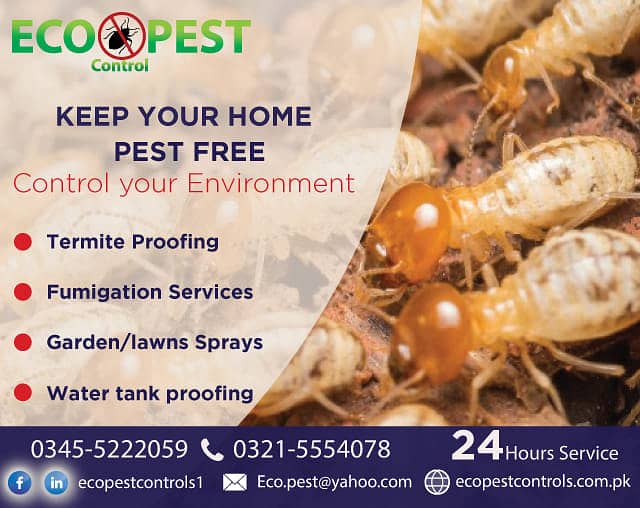 Pest Control/Termite deemak Control/Mosquito Spray/Fumigation 4