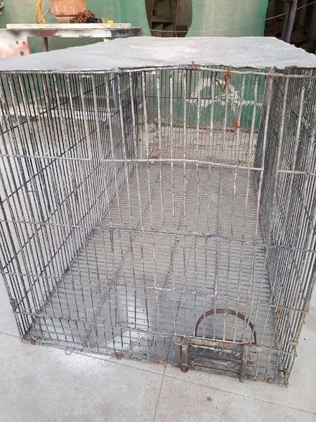 gray parrot cage 3