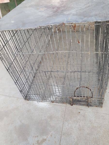 gray parrot cage 4