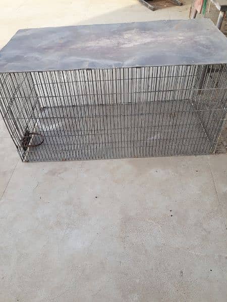 gray parrot cage 5