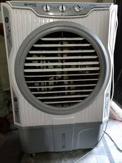 master air cooler Lash condition 5 days use