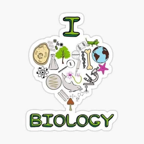 Biology and Chemistry Tuitions 2