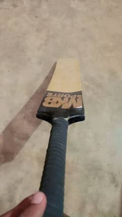 cricket bat 0