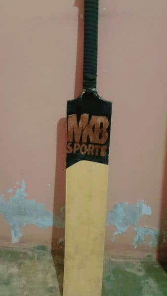 cricket bat 1