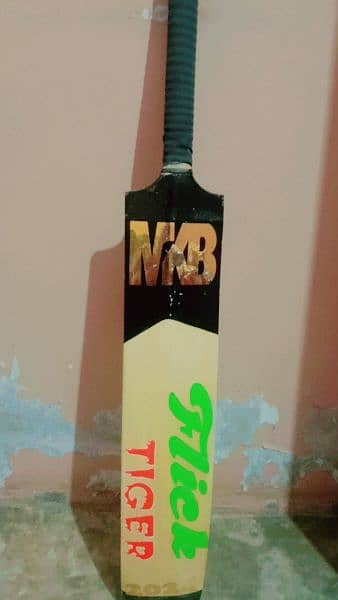 cricket bat 2