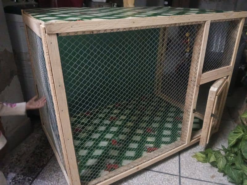 Hen cage 3