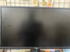 dell ips display 24 inch