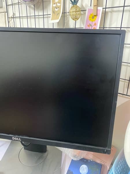 dell ips display 24 inch 3