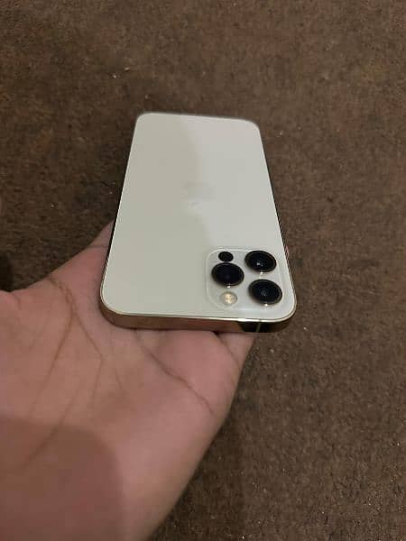 iphone 12 pro waterpack 2